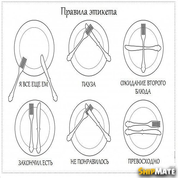 Правила этикета: Как и что есть?